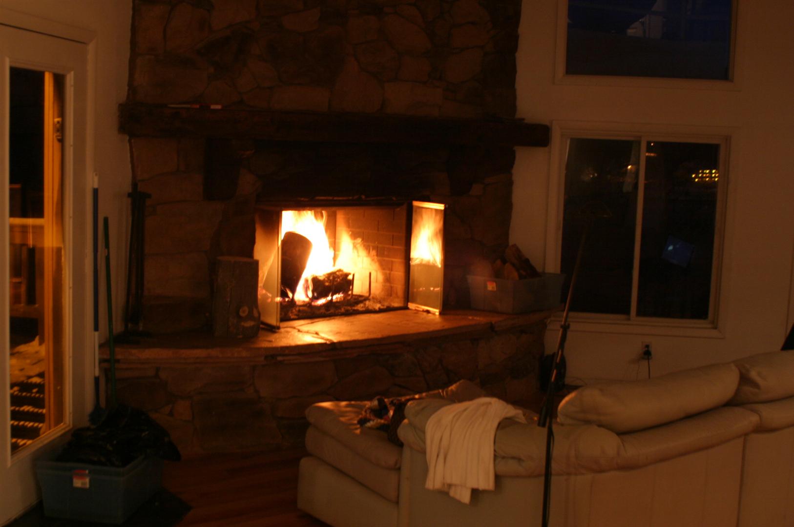 Wood burning fireplace in the living room